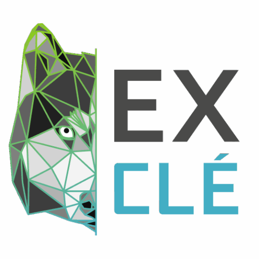 Ex-clé logo